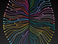 Öğrenen Beyin: Nörobiyoloji Işığında Eğitim